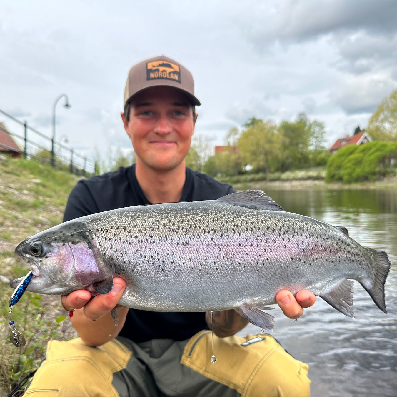 Norolan's Best Rainbow Trout Lures 5-pack – Norolan EU